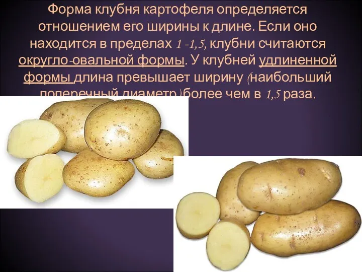 Форма клубня картофеля определяется отношением его ширины к длине. Если