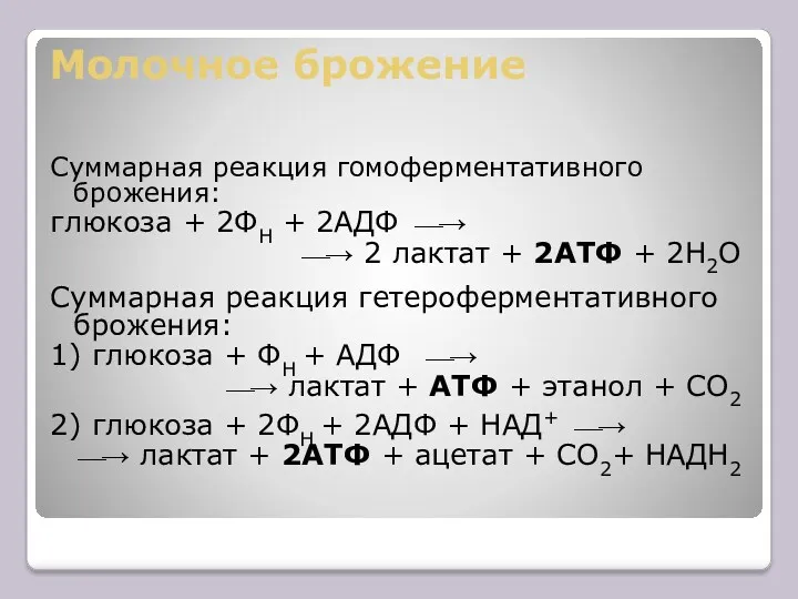 Молочное брожение Суммарная реакция гомоферментативного брожения: глюкоза + 2ФН +