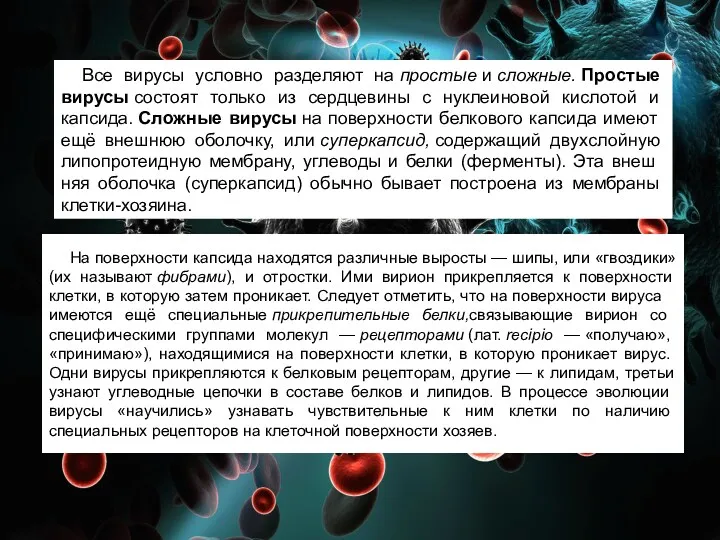 Все вирусы условно разделяют на простые и сложные. Простые вирусы