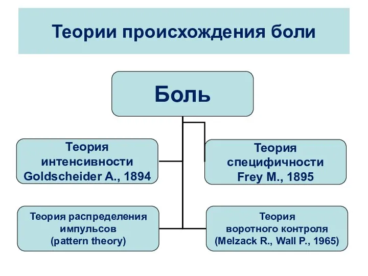 Теории происхождения боли Теория специфичности Frey М., 1895