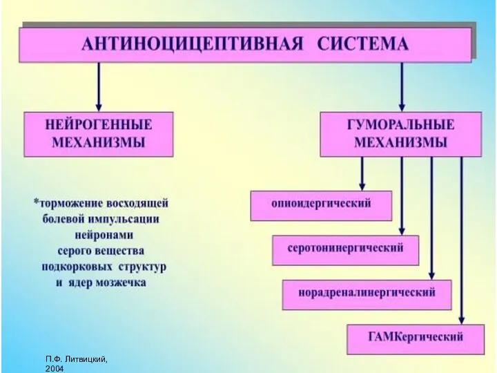 П.Ф. Литвицкий, 2004