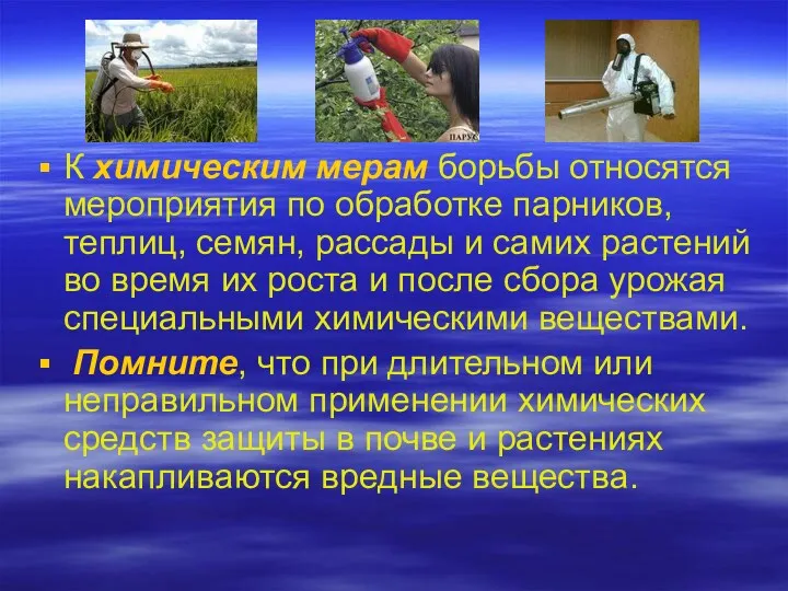 К химическим мерам борьбы относятся мероприятия по обработке парников, теплиц,