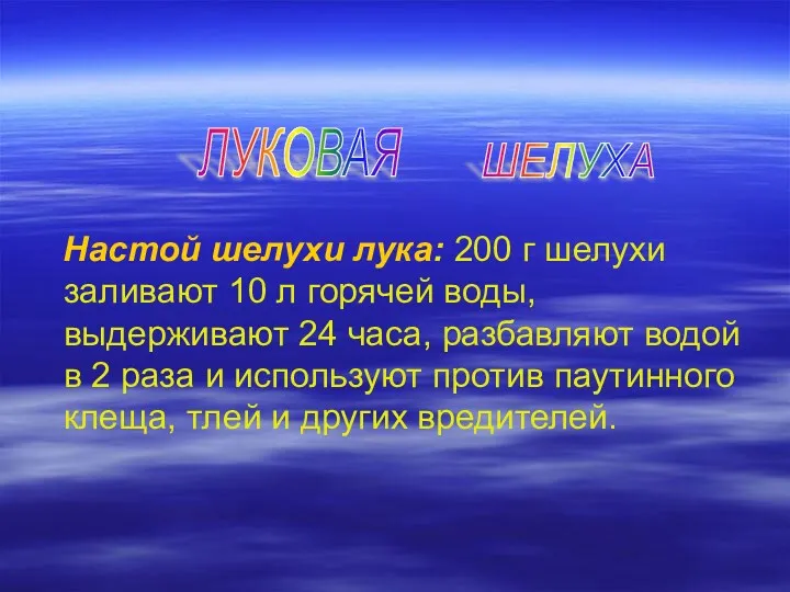 Настой шелухи лука: 200 г шелухи заливают 10 л горячей