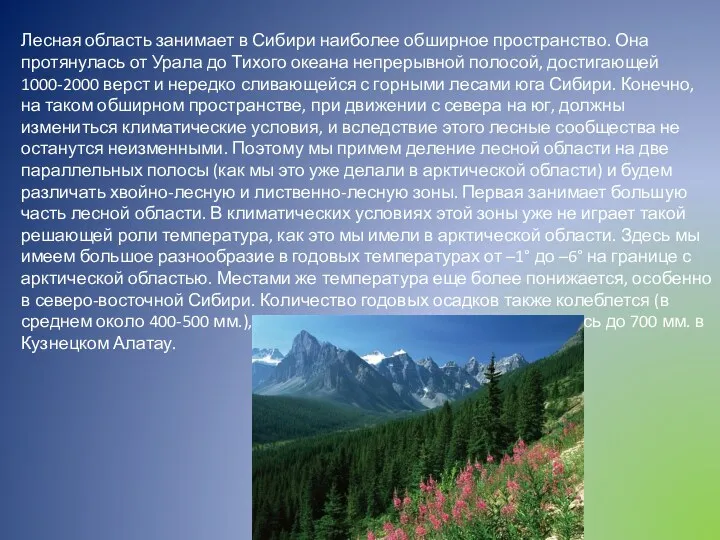 Лесная область занимает в Сибири наиболее обширное пространство. Она протянулась