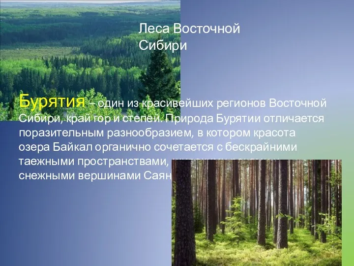 Леса Восточной Сибири Бурятия – один из красивейших регионов Восточной