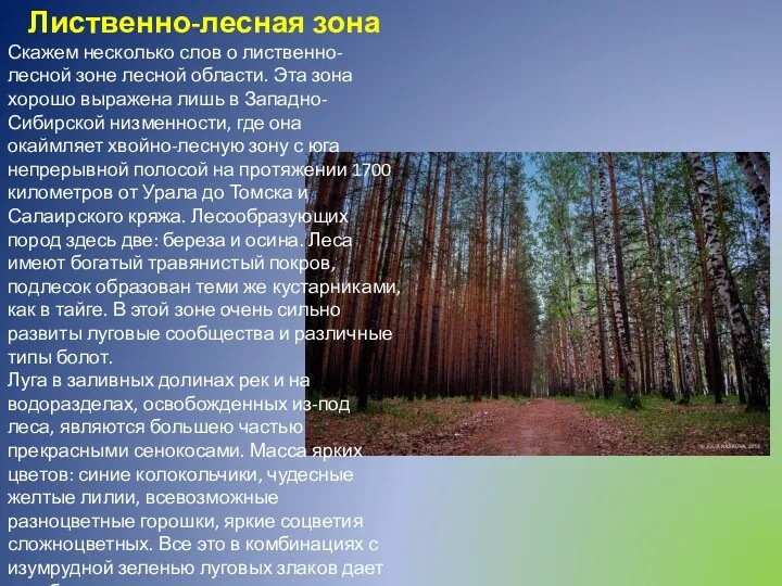 Лиственно-лесная зона Скажем несколько слов о лиственно-лесной зоне лесной области.