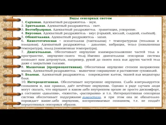 Виды сенсорных систем 1. Слуховая. Адекватный раздражитель - звук. 2.