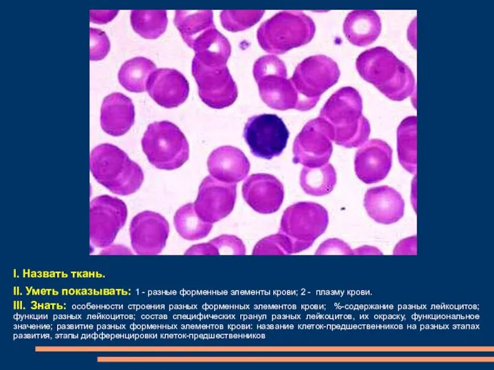 I. Назвать ткань. II. Уметь показывать: 1 - разные форменные элементы крови; 2