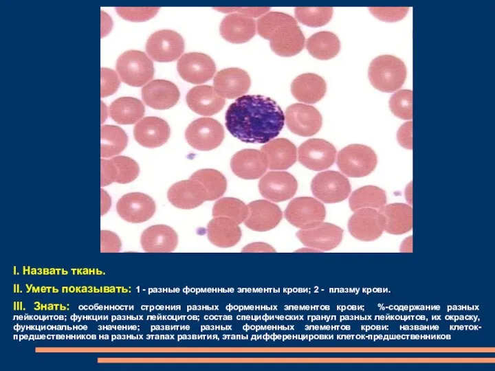 I. Назвать ткань. II. Уметь показывать: 1 - разные форменные элементы крови; 2