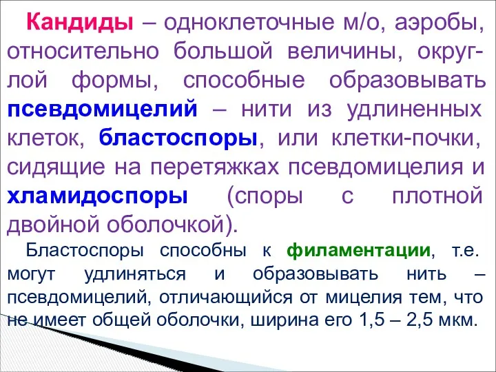 Кандиды – одноклеточные м/о, аэробы, относительно большой величины, округ-лой формы,