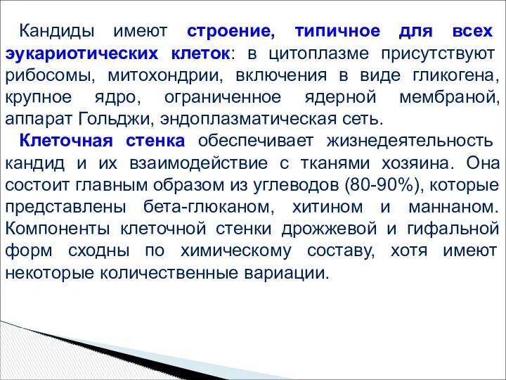 Кандиды имеют строение, типичное для всех эукариотических клеток: в цитоплазме