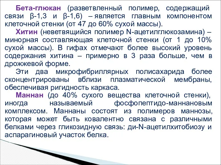 Бета-глюкан (разветвленный полимер, содержащий связи β-1,3 и β-1,6) – является