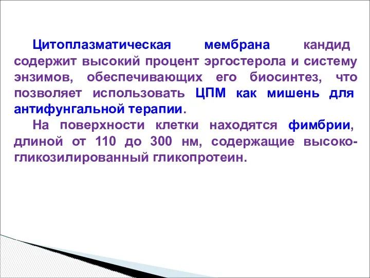 Цитоплазматическая мембрана кандид содержит высокий процент эргостерола и систему энзимов,