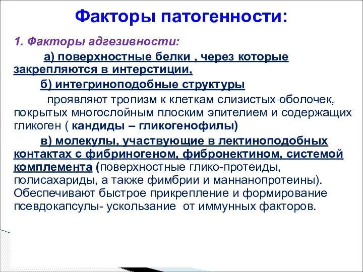 1. Факторы адгезивности: а) поверхностные белки , через которые закрепляются