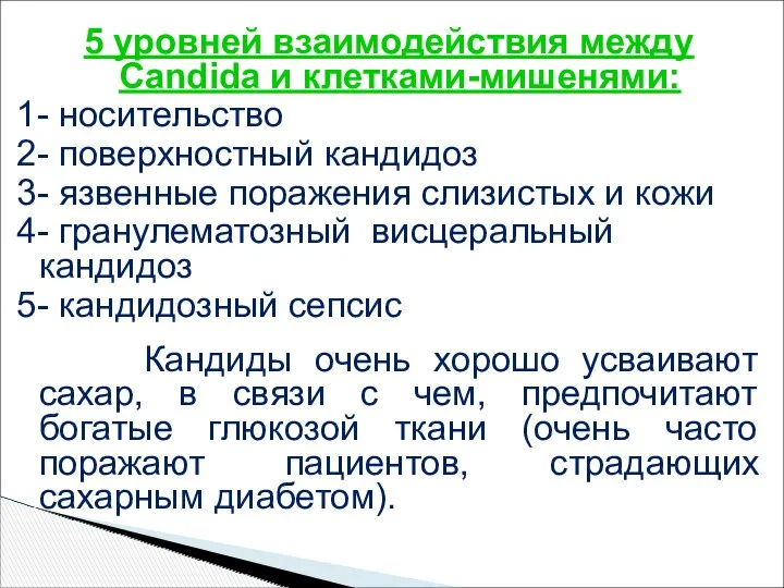 5 уровней взаимодействия между Candida и клетками-мишенями: 1- носительство 2-