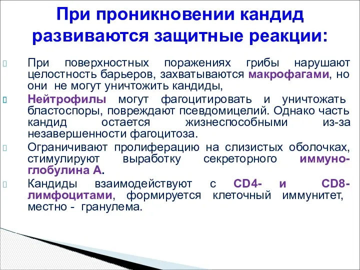 При поверхностных поражениях грибы нарушают целостность барьеров, захватываются макрофагами, но