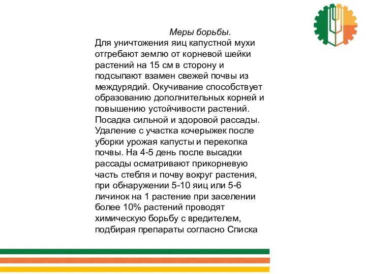 Меры борьбы. Для уничтожения яиц капустной мухи отгребают землю от корневой шейки растений