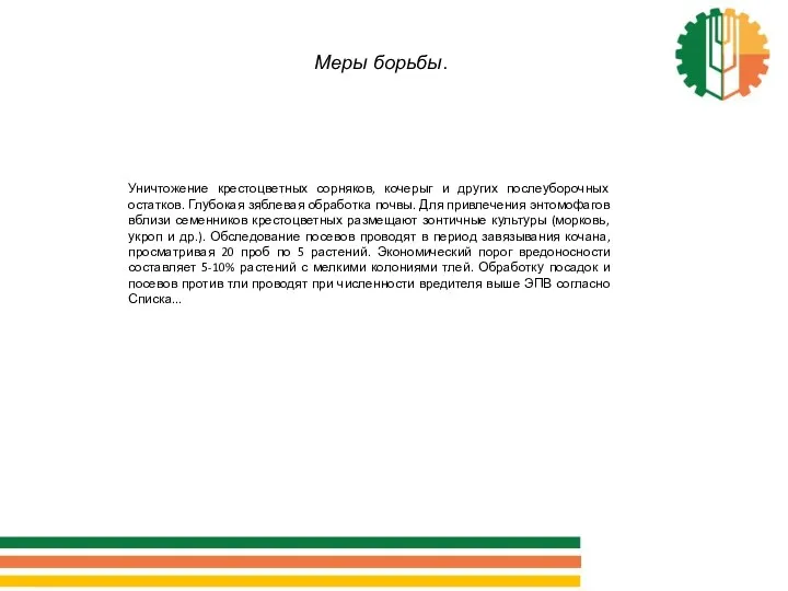 Меры борьбы. Уничтожение крестоцветных сорняков, кочерыг и других послеуборочных остатков. Глубокая зяблевая обработка