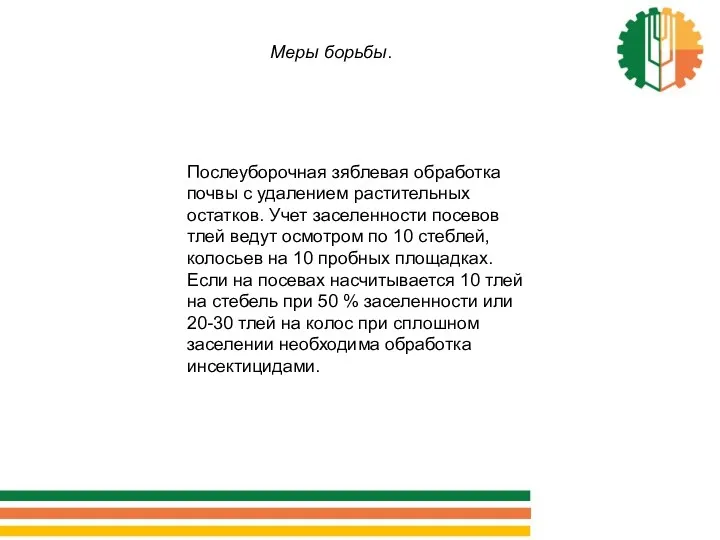 Меры борьбы. Послеуборочная зяблевая обработка почвы с удалением растительных остатков.