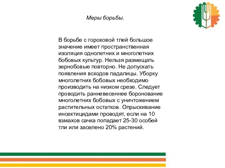 Меры борьбы. В борьбе с гороховой тлей большое значение имеет пространственная изоляция однолетних