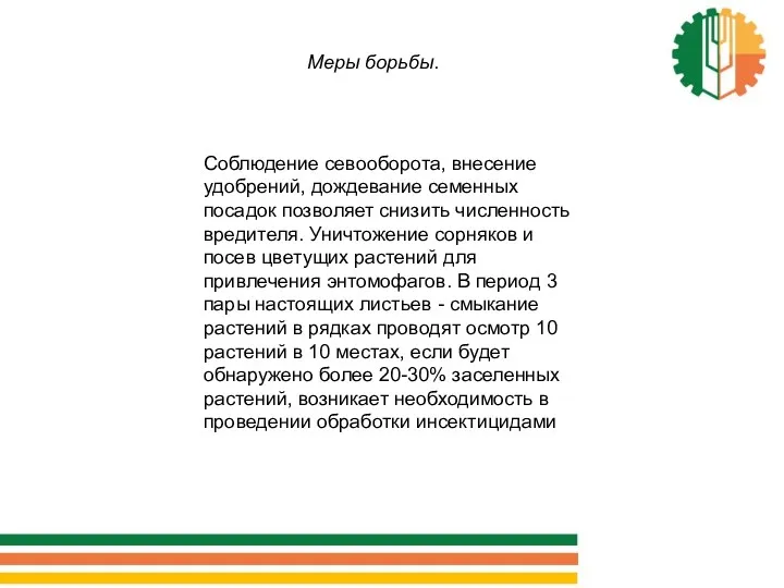 Меры борьбы. Соблюдение севооборота, внесение удобрений, дождевание семенных посадок позволяет снизить численность вредителя.