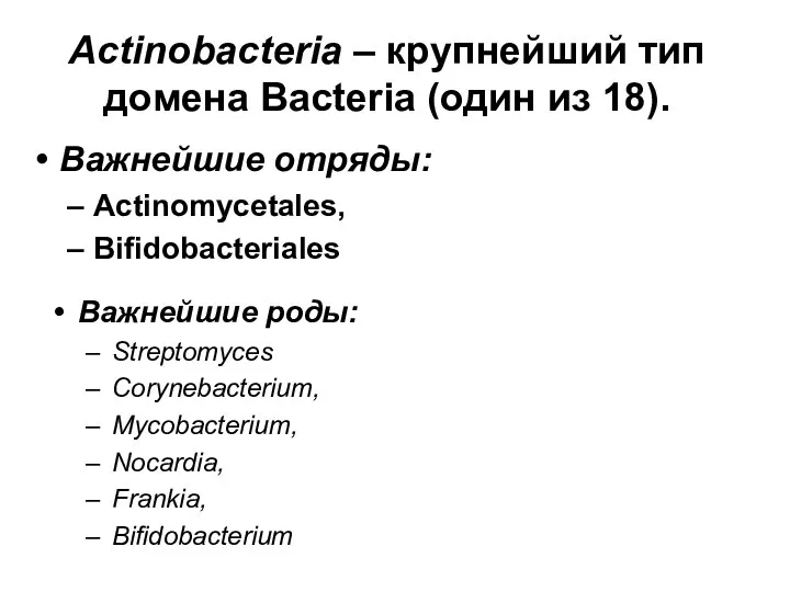 Actinobacteria – крупнейший тип домена Bacteria (один из 18). Важнейшие