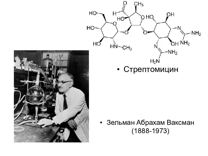 Стрептомицин Зельман Абрахам Ваксман (1888-1973)