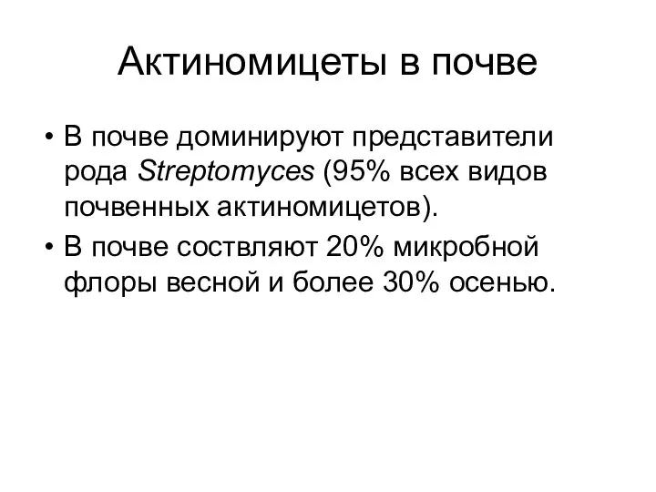 Актиномицеты в почве В почве доминируют представители рода Streptomyces (95%