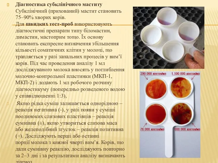 Діагностика субклінічного маститу Субклінічний (прихований) мастит становить 75–90% хворих корів.