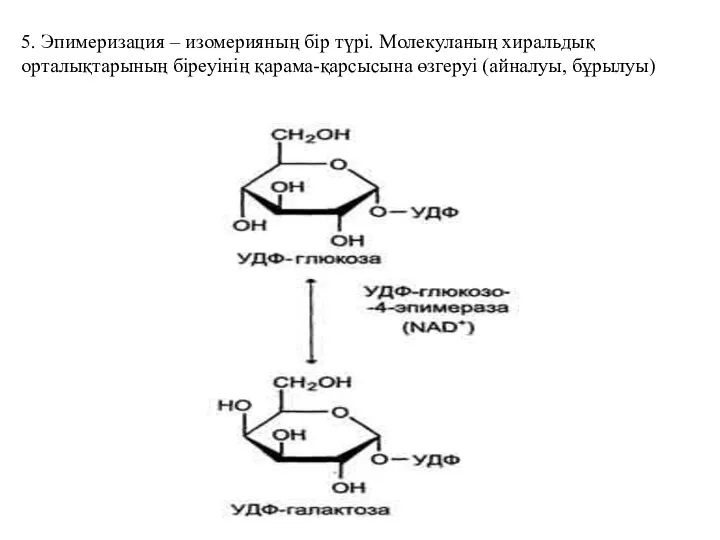 5. Эпимеризация – изомерияның бір түрі. Молекуланың хиральдық орталықтарының біреуінің қарама-қарсысына өзгеруі (айналуы, бұрылуы)