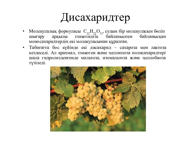 Дисахаридтер Молекулалық формуласы С12Н22О11, судың бір молекуласын бөліп шығару арқылы