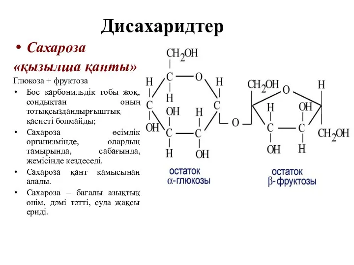 Дисахаридтер Сахароза «қызылша қанты» Глюкоза + фруктоза Бос карбонильдік тобы