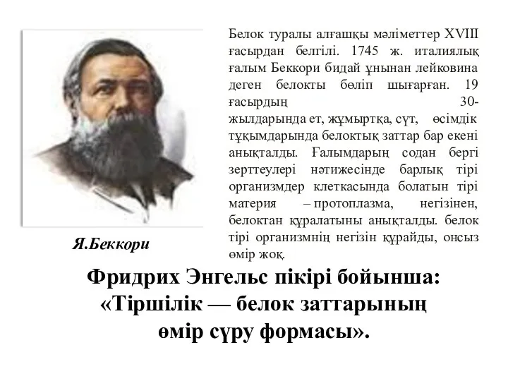 Белок туралы алғашқы мәліметтер XVIII ғасырдан белгілі. 1745 ж. италиялық