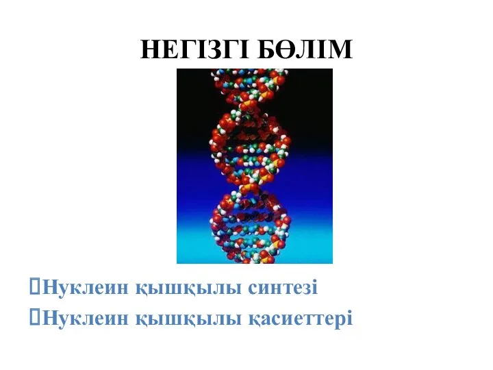 НЕГІЗГІ БӨЛІМ Нуклеин қышқылы синтезі Нуклеин қышқылы қасиеттері