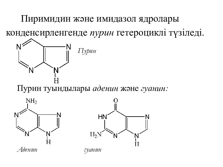 Пиримидин және имидазол ядролары конденсирленгенде пурин гетероциклі түзіледі. Пурин Пурин туындылары аденин және гуанин: Аденин гуанин