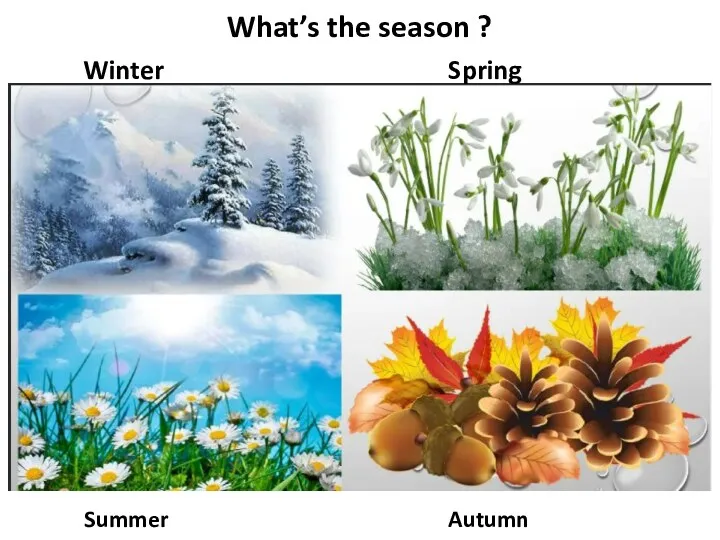 What’s the season ? Winter Spring Summer Autumn