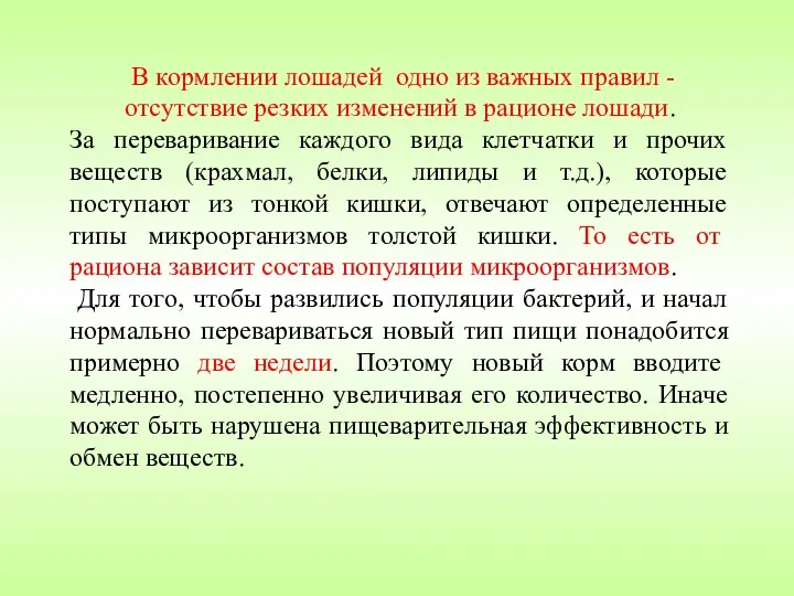 В кормлении лошадей одно из важных правил - отсутствие резких