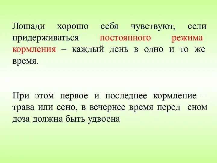 Лошади хорошо себя чувствуют, если придерживаться постоянного режима кормления –