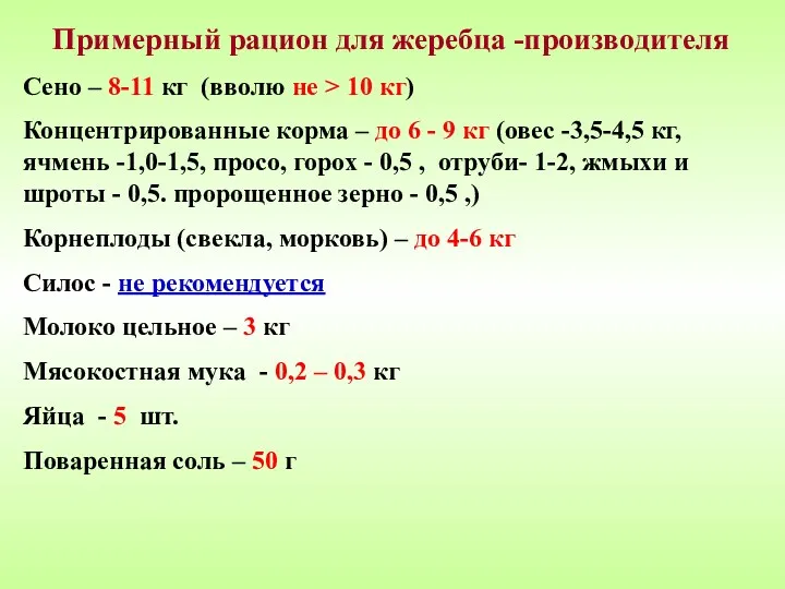 Примерный рацион для жеребца -производителя Сено – 8-11 кг (вволю