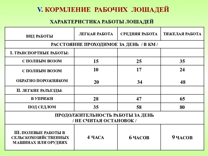 V. КОРМЛЕНИЕ РАБОЧИХ ЛОШАДЕЙ ХАРАКТЕРИСТИКА РАБОТЫ ЛОШАДЕЙ