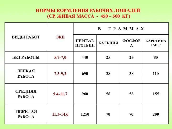 НОРМЫ КОРМЛЕНИЯ РАБОЧИХ ЛОШАДЕЙ (СР. ЖИВАЯ МАССА - 450 – 500 КГ)