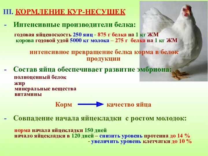 III. КОРМЛЕНИЕ КУР-НЕСУШЕК Интенсивные производители белка: годовая яйценоскость 250 яиц