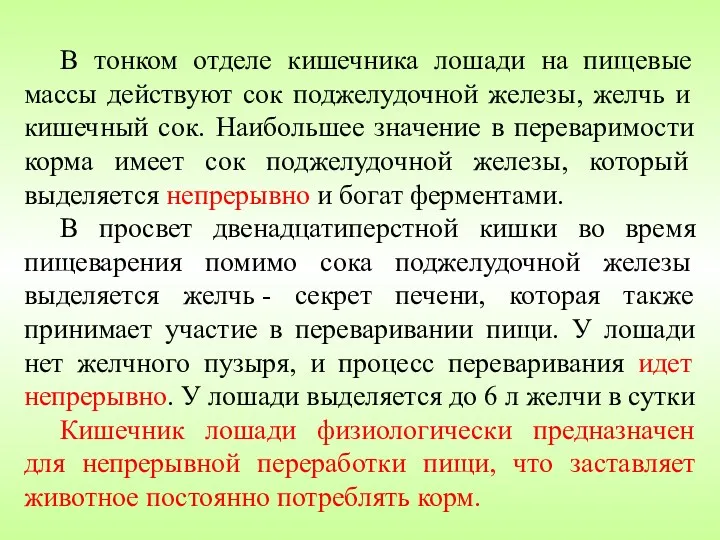 В тонком отделе кишечника лошади на пищевые массы действуют сок