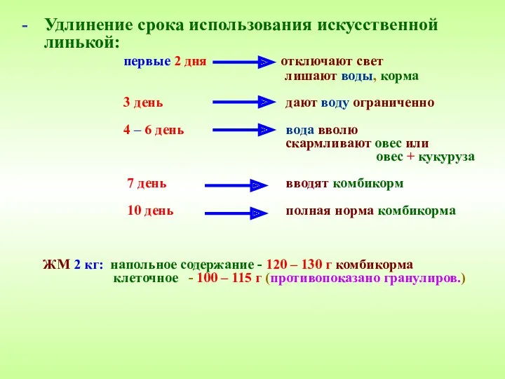 Удлинение срока использования искусственной линькой: первые 2 дня отключают свет