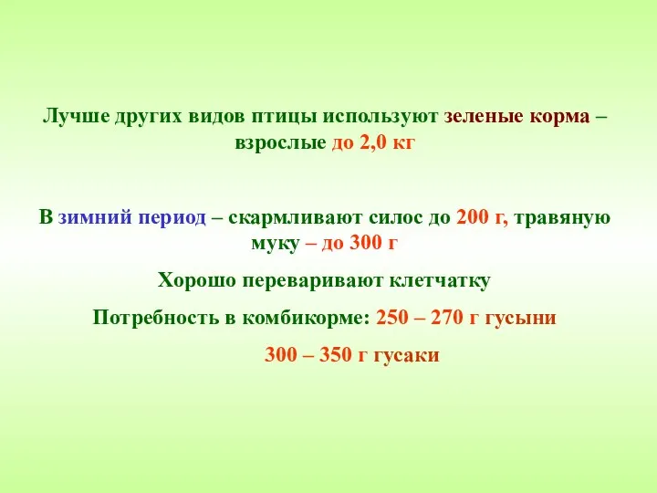 Лучше других видов птицы используют зеленые корма – взрослые до