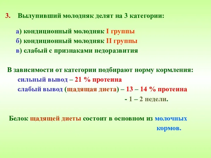 Вылупивший молодняк делят на 3 категории: а) кондиционный молодняк I