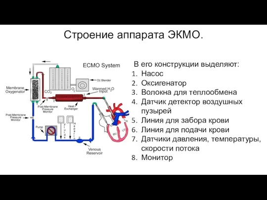 Строение аппарата ЭКМО. В его конструкции выделяют: Насос Оксигенатор Волокна