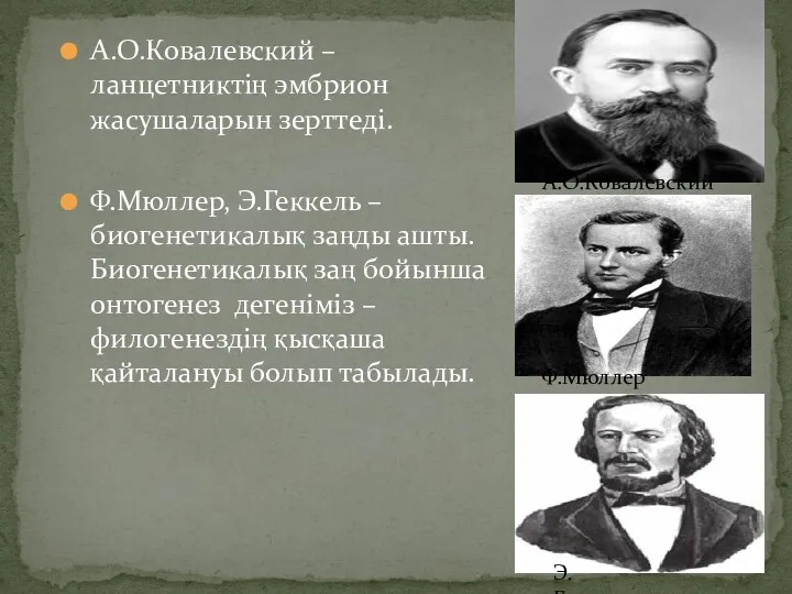 А.О.Ковалевский – ланцетниктің эмбрион жасушаларын зерттеді. Ф.Мюллер, Э.Геккель – биогенетикалық заңды ашты. Биогенетикалық