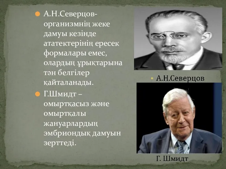 А.Н.Северцов-организмнің жеке дамуы кезінде ататектерінің ересек формалары емес, олардың ұрықтарына