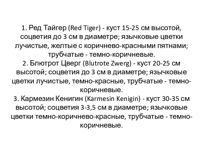 1. Ред Тайгер (Red Tiger) - куст 15-25 см высотой,